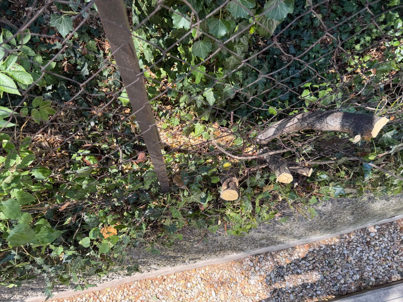 Vogelfutterstellen
